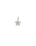14K White Gold Pave Diamond Star Charm