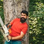 tree services Castle Hill