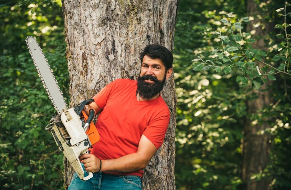 tree services Castle Hill